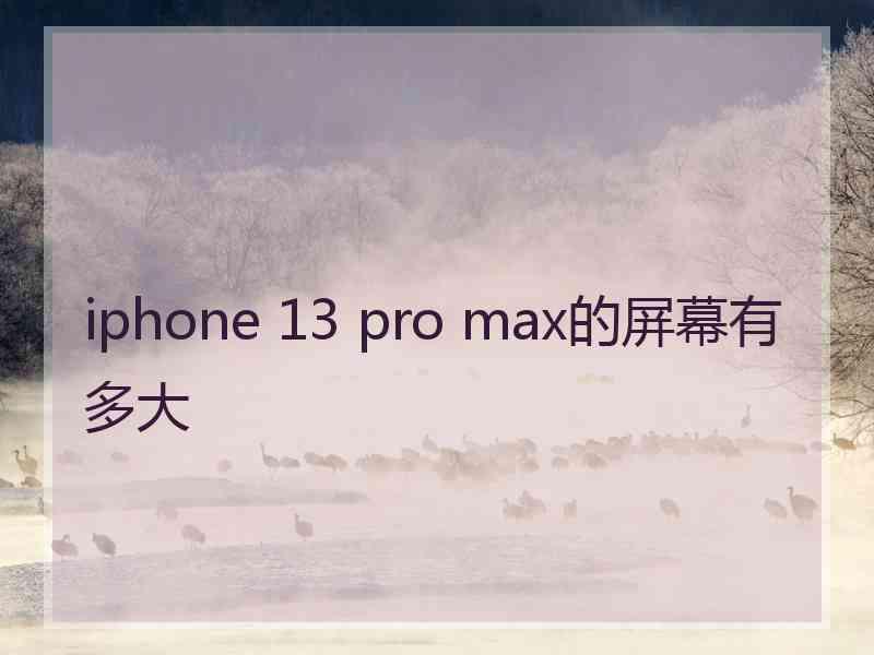 iphone 13 pro max的屏幕有多大