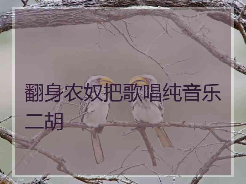 翻身农奴把歌唱纯音乐二胡