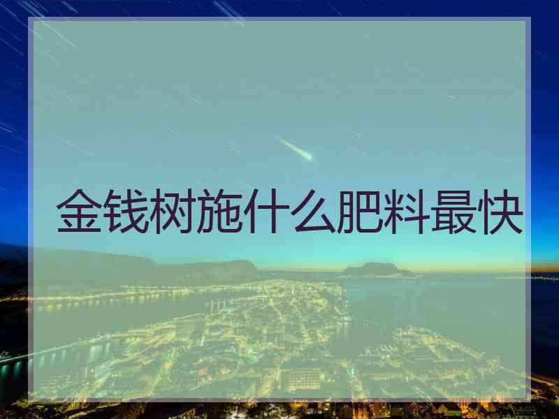 金钱树施什么肥料最快