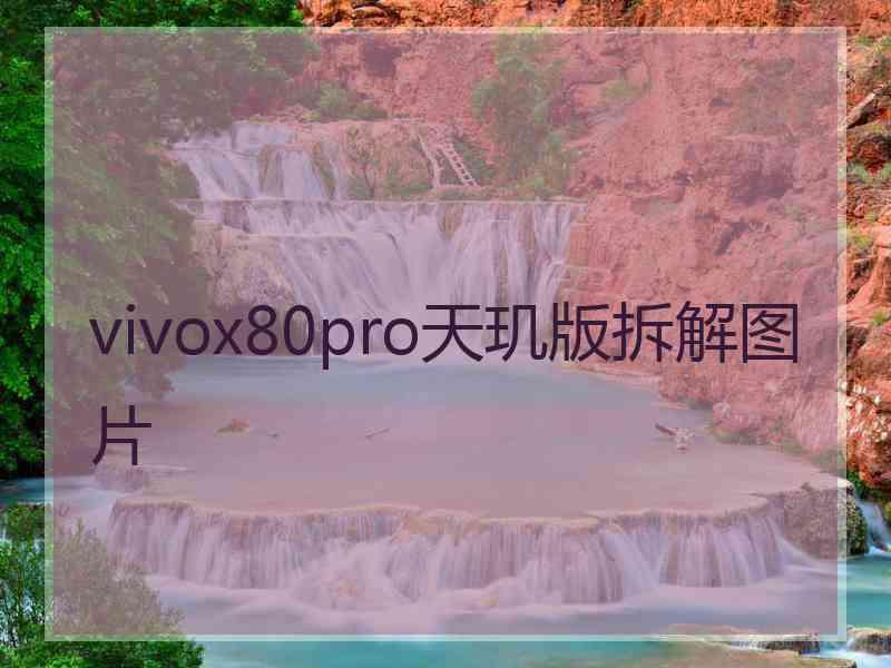 vivox80pro天玑版拆解图片