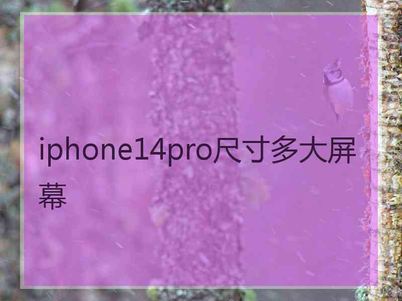 iphone14pro尺寸多大屏幕