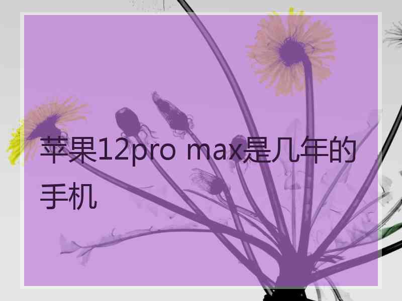 苹果12pro max是几年的手机