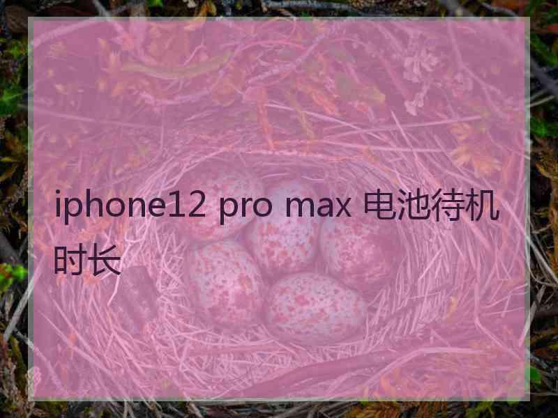 iphone12 pro max 电池待机时长