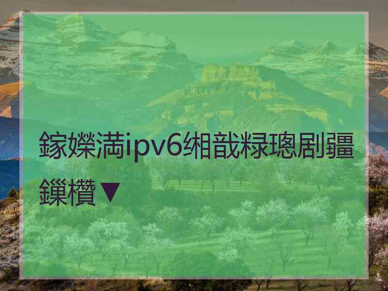 鎵嬫満ipv6缃戠粶璁剧疆鏁欑▼