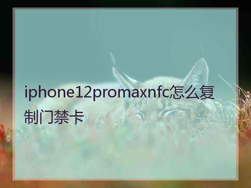 iphone12promaxnfc怎么复制门禁卡