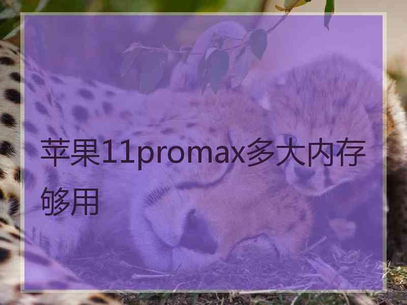 苹果11promax多大内存够用