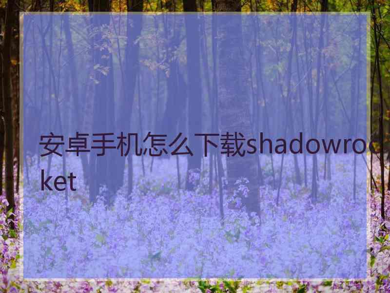 安卓手机怎么下载shadowrocket