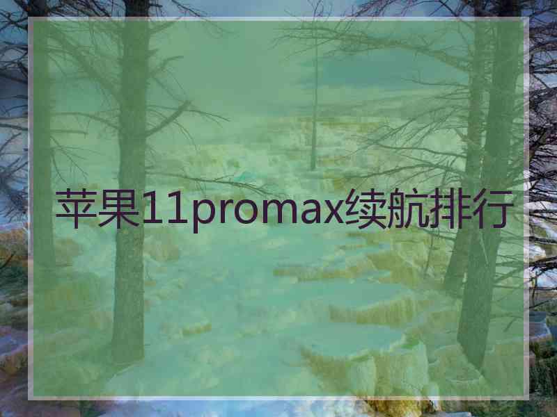 苹果11promax续航排行