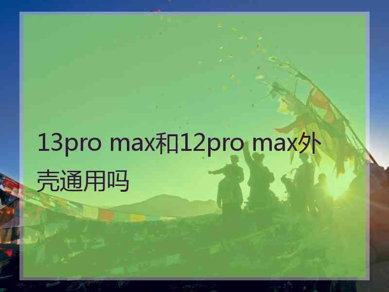 13pro max和12pro max外壳通用吗