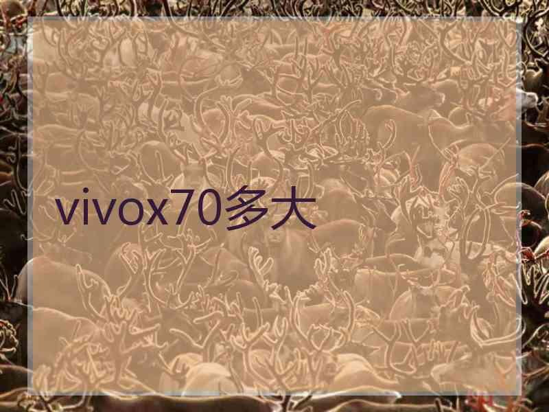 vivox70多大