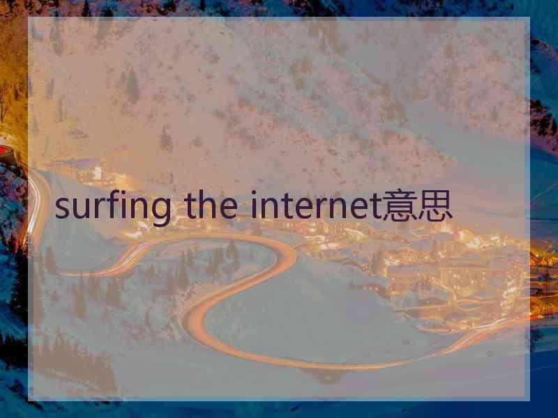 surfing the internet意思