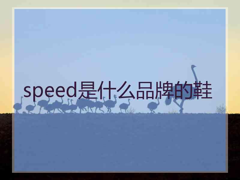 speed是什么品牌的鞋