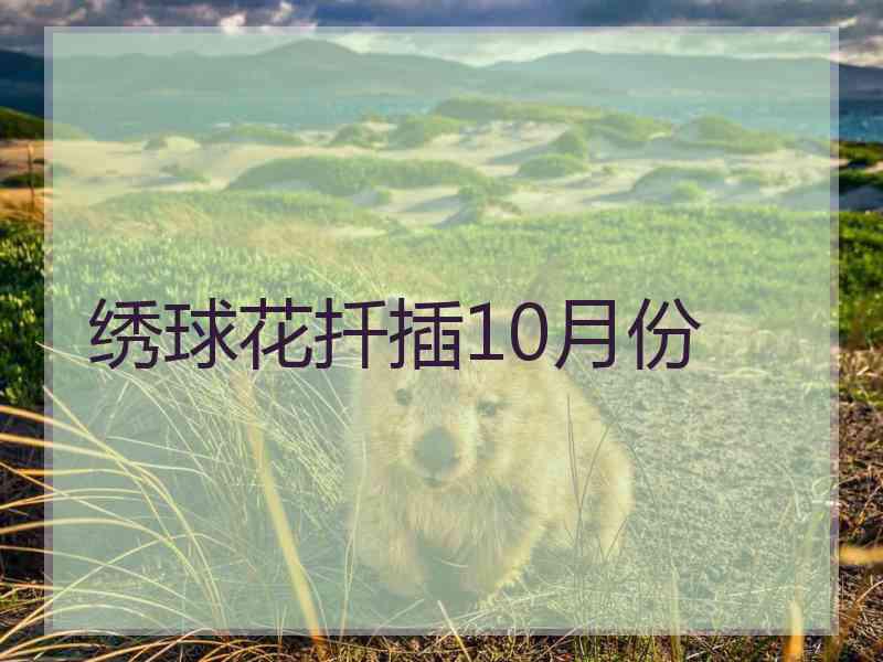 绣球花扦插10月份