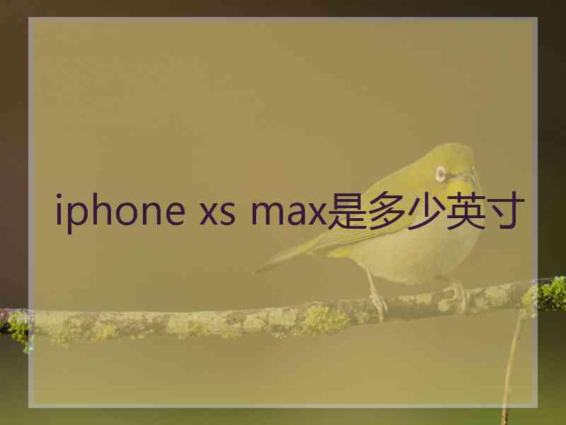 iphone xs max是多少英寸