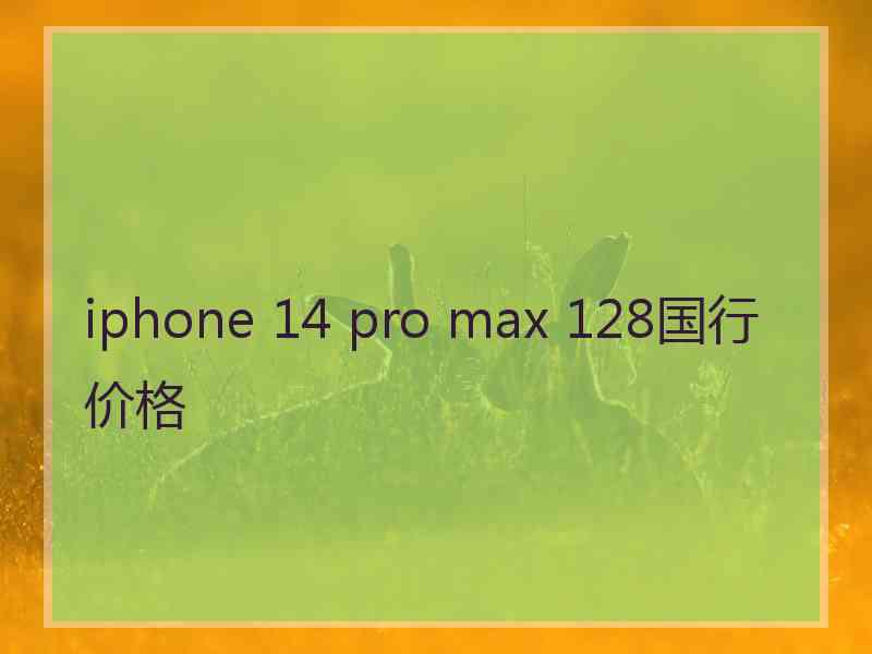 iphone 14 pro max 128国行价格