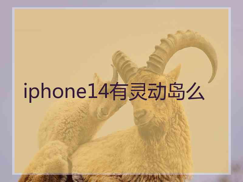 iphone14有灵动岛么