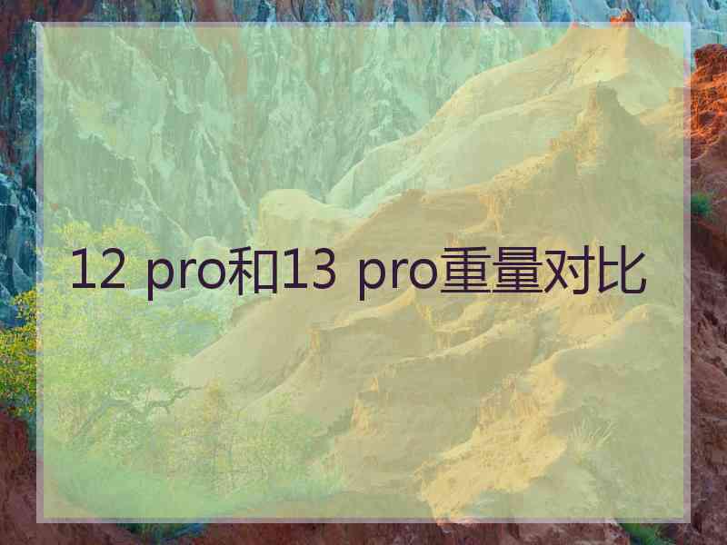 12 pro和13 pro重量对比