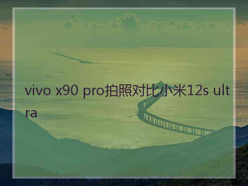 vivo x90 pro拍照对比小米12s ultra