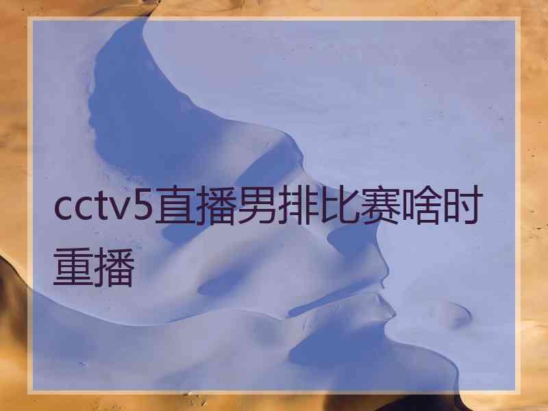 cctv5直播男排比赛啥时重播