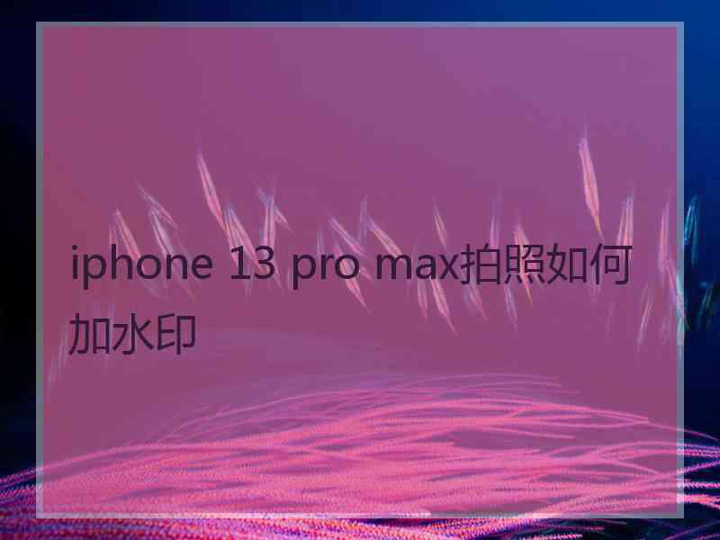 iphone 13 pro max拍照如何加水印