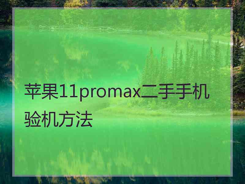 苹果11promax二手手机验机方法