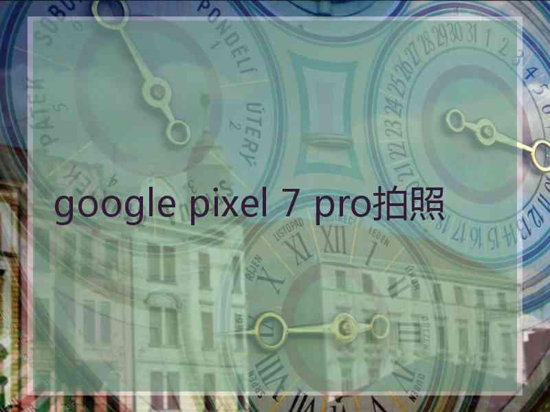 google pixel 7 pro拍照