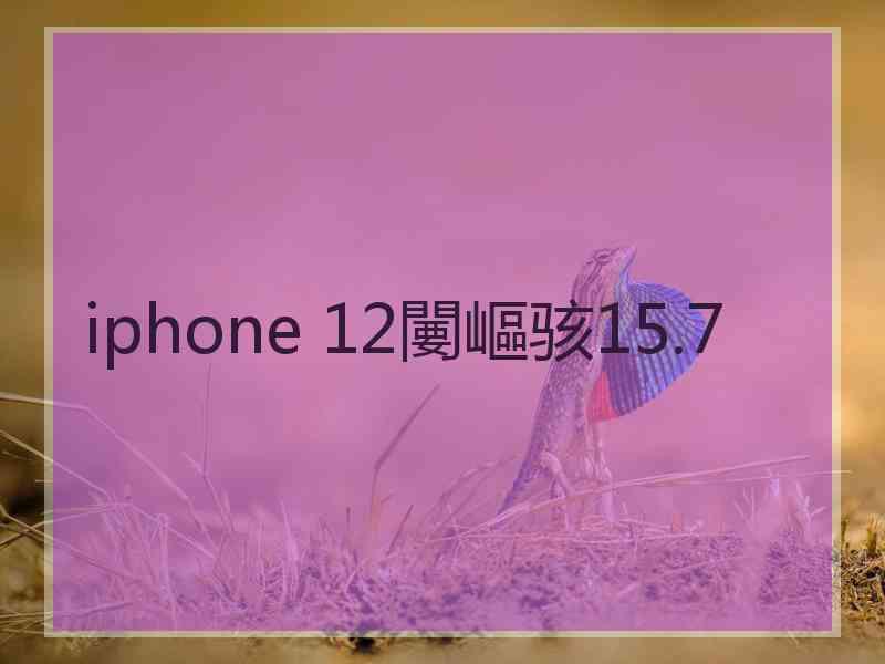 iphone 12闄嶇骇15.7