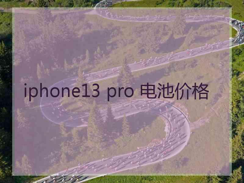 iphone13 pro 电池价格