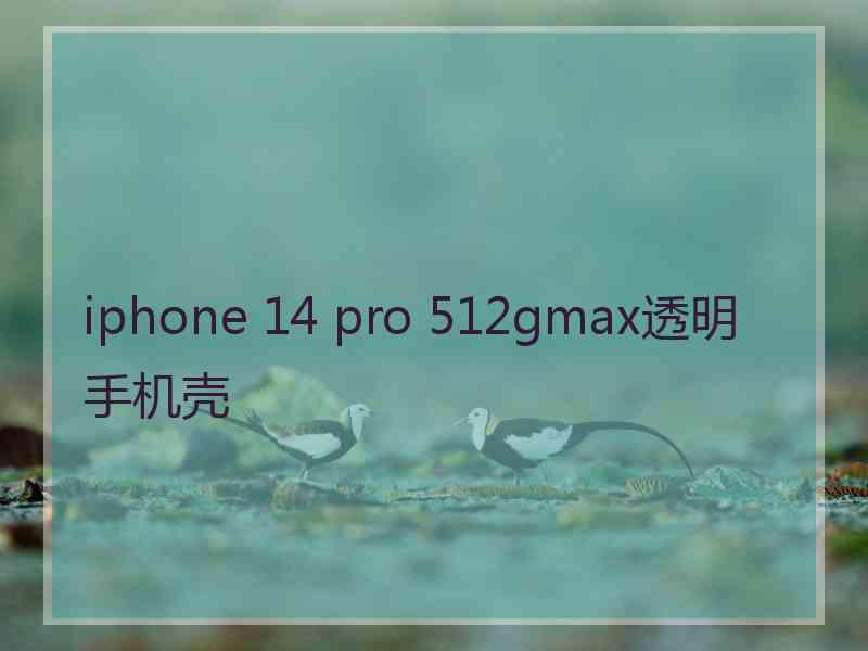 iphone 14 pro 512gmax透明手机壳