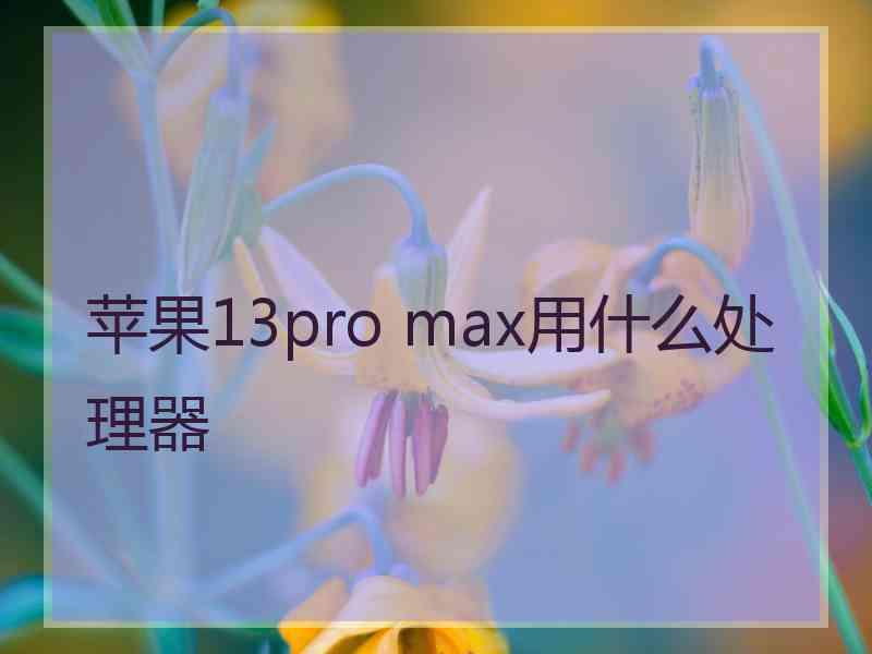 苹果13pro max用什么处理器