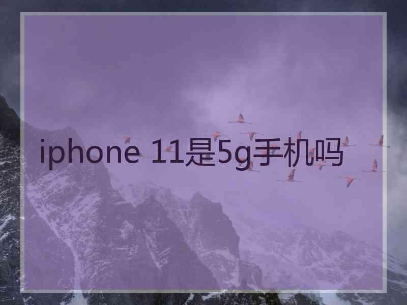 iphone 11是5g手机吗