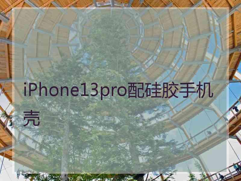 iPhone13pro配硅胶手机壳