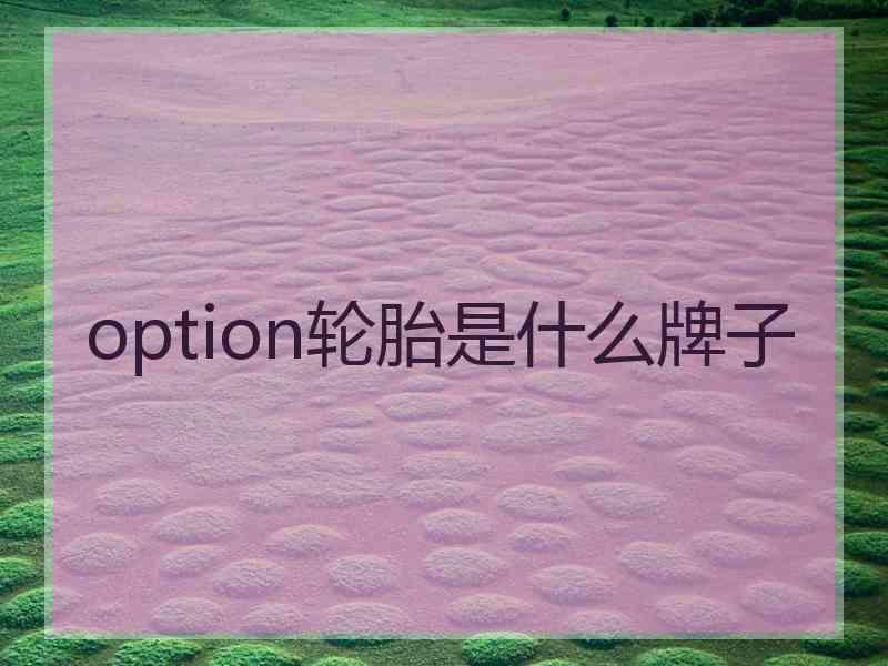 option轮胎是什么牌子