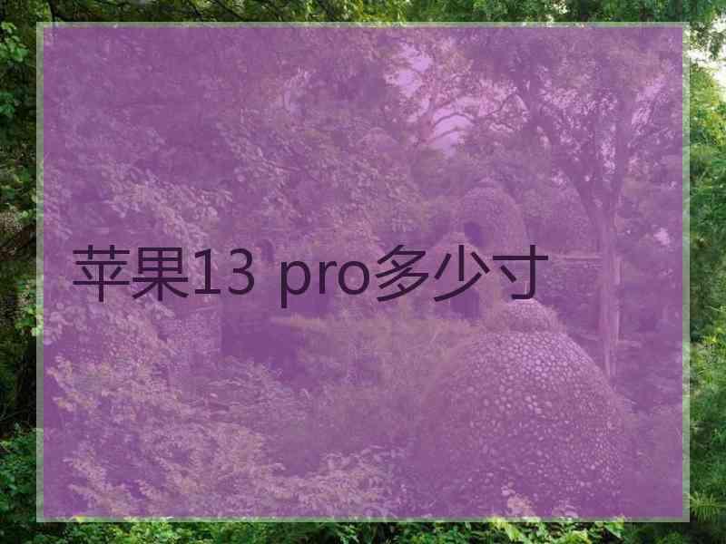 苹果13 pro多少寸