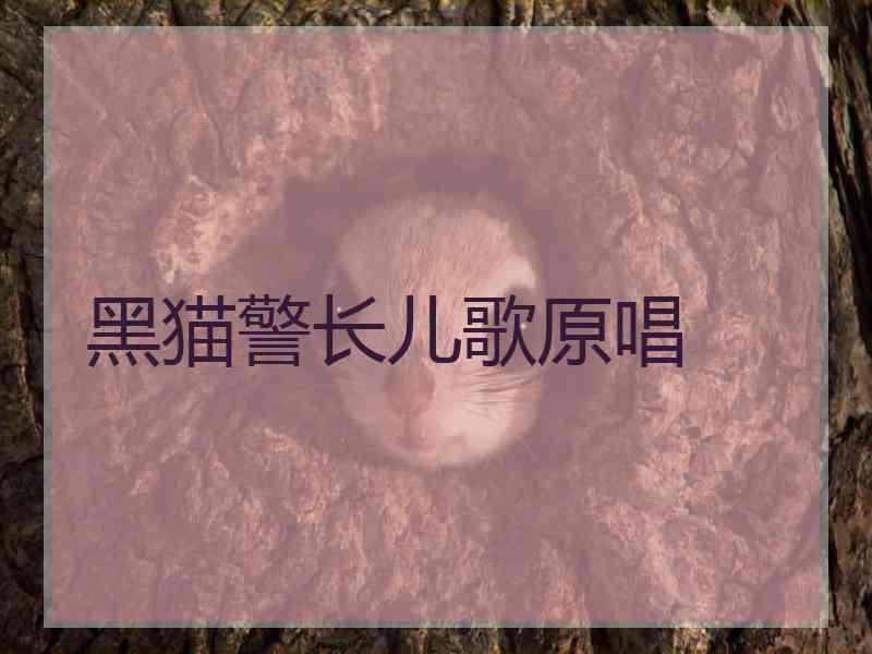 黑猫警长儿歌原唱