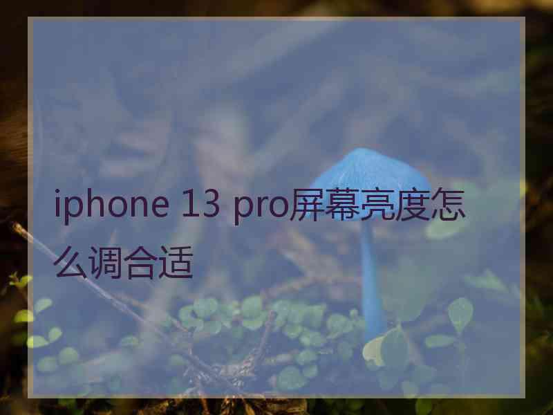 iphone 13 pro屏幕亮度怎么调合适