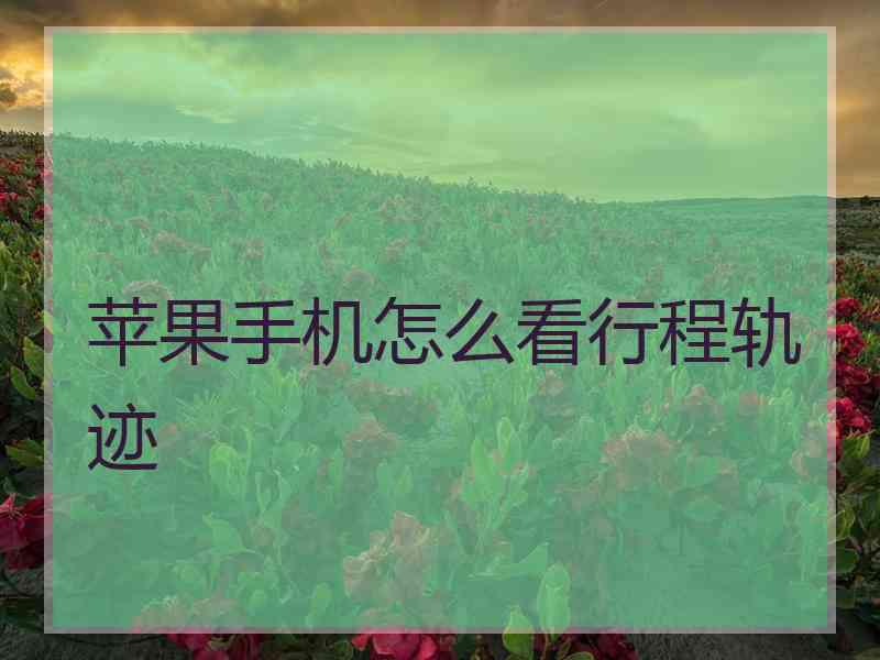 苹果手机怎么看行程轨迹