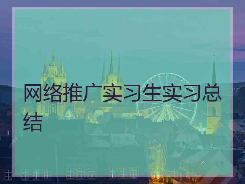 网络推广实习生实习总结