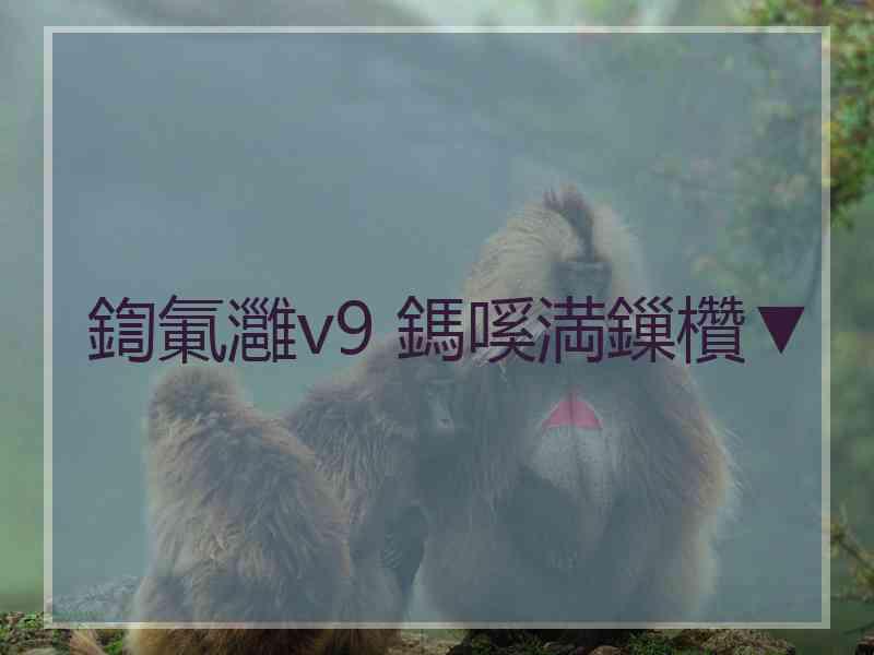 鍧氭灉v9 鎷嗘満鏁欑▼