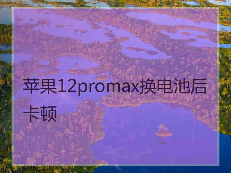 苹果12promax换电池后卡顿