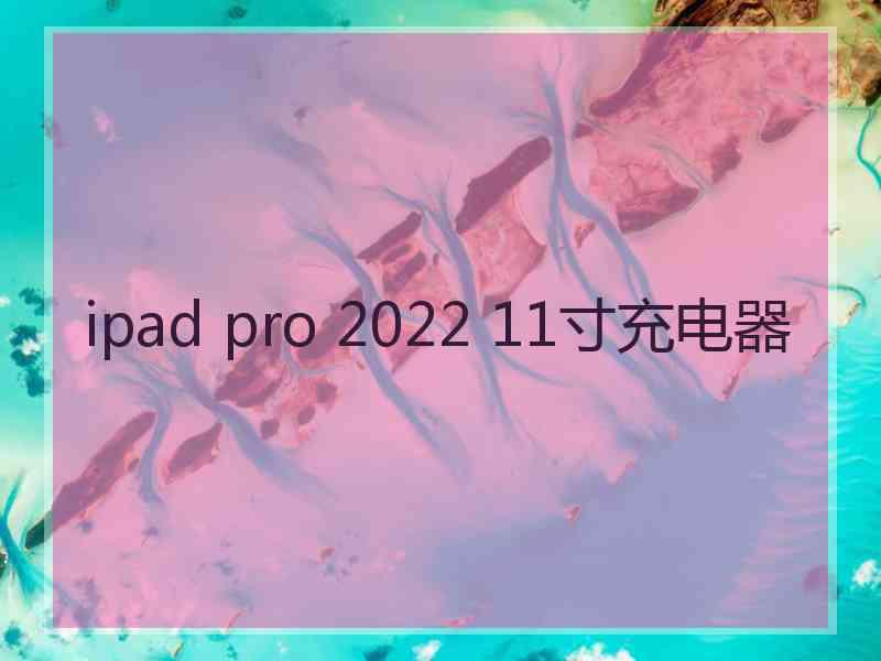 ipad pro 2022 11寸充电器