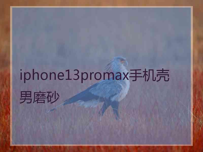 iphone13promax手机壳男磨砂