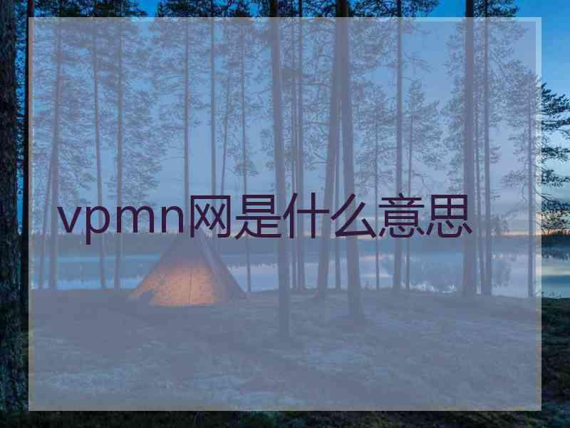 vpmn网是什么意思