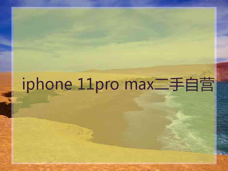 iphone 11pro max二手自营