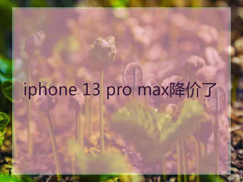 iphone 13 pro max降价了