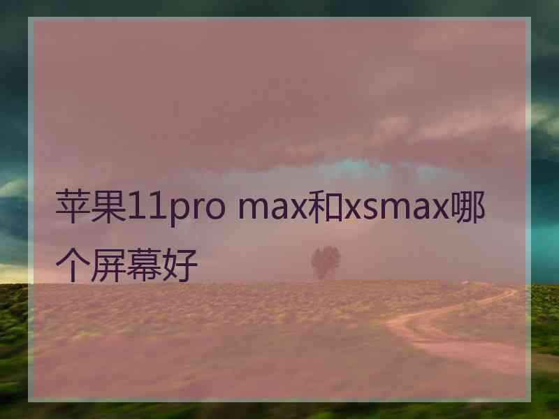 苹果11pro max和xsmax哪个屏幕好