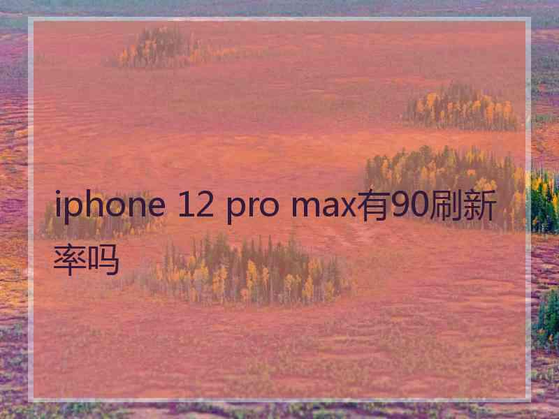 iphone 12 pro max有90刷新率吗