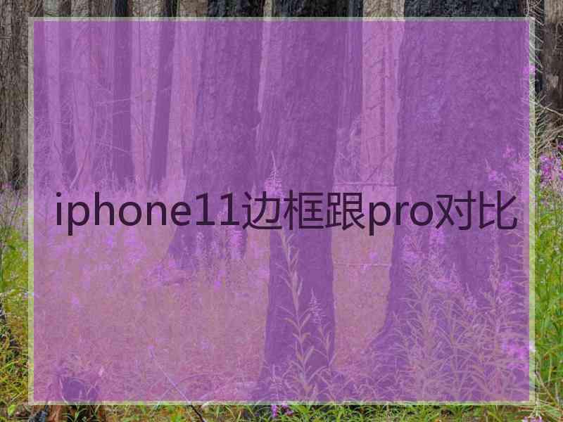 iphone11边框跟pro对比