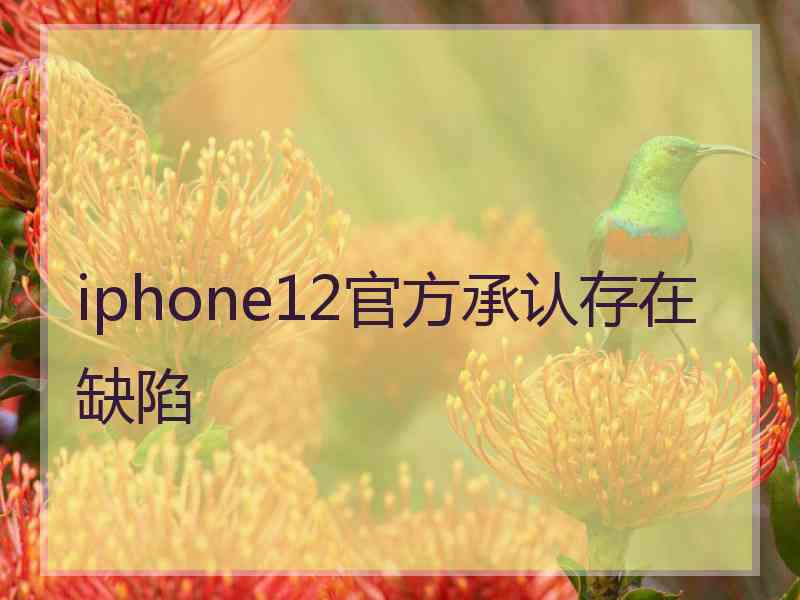 iphone12官方承认存在缺陷