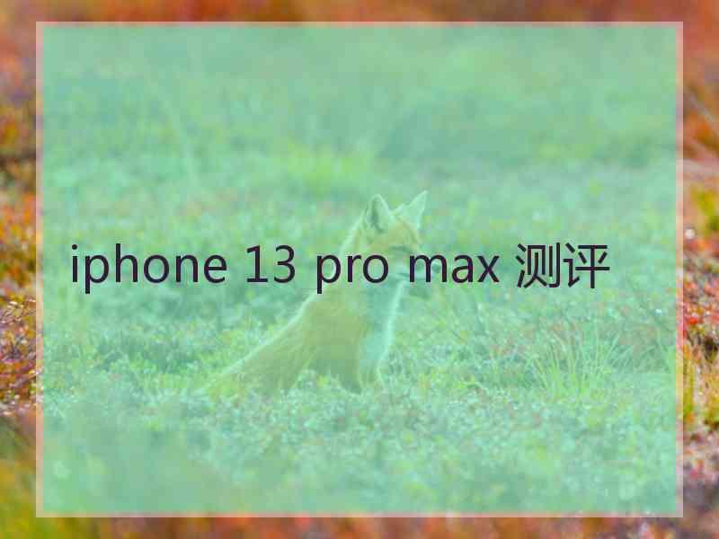 iphone 13 pro max 测评